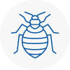 Bed Bug Extermination In B15