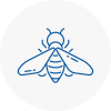 Bee Nest Removal B15