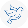 Bird Prevention B15