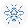 B15 Hornet Nest Removals