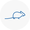 Mice Exterminators In B15