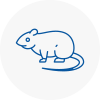 Rat Control B15
