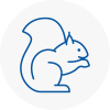 B15 Rodent Removals