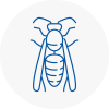 B15 Wasp Nest Removal